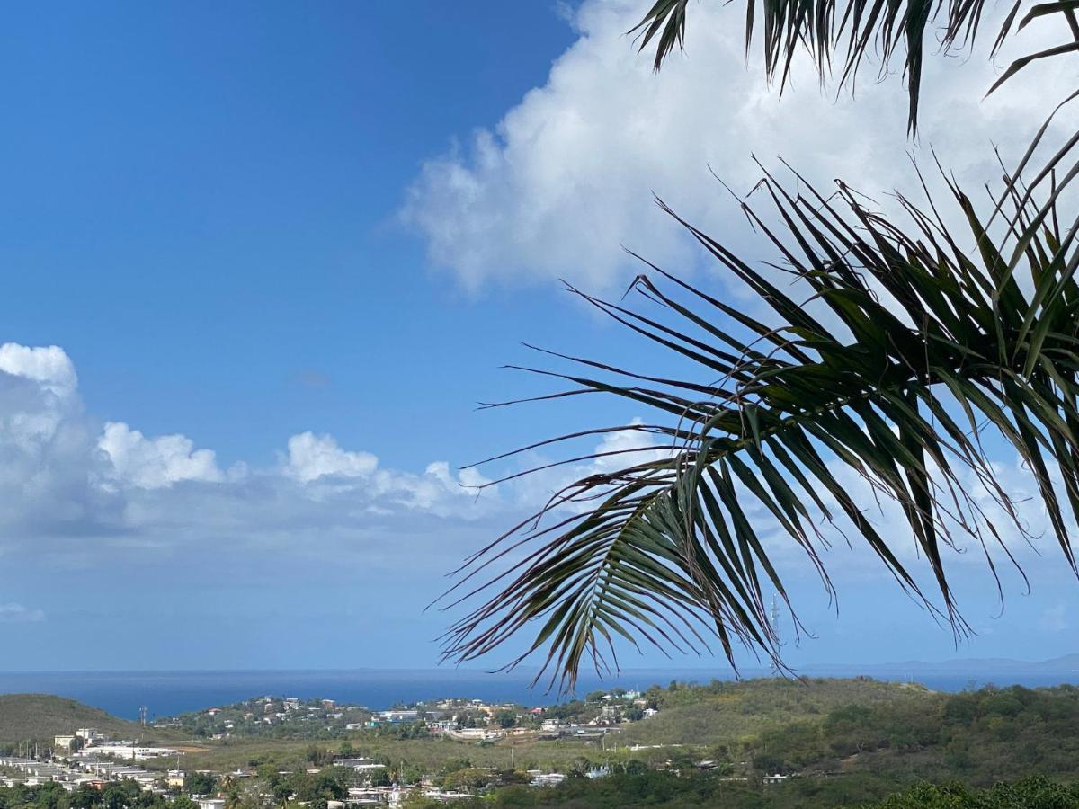 Las Terrazas Los Chivos Vieques Bagian luar foto