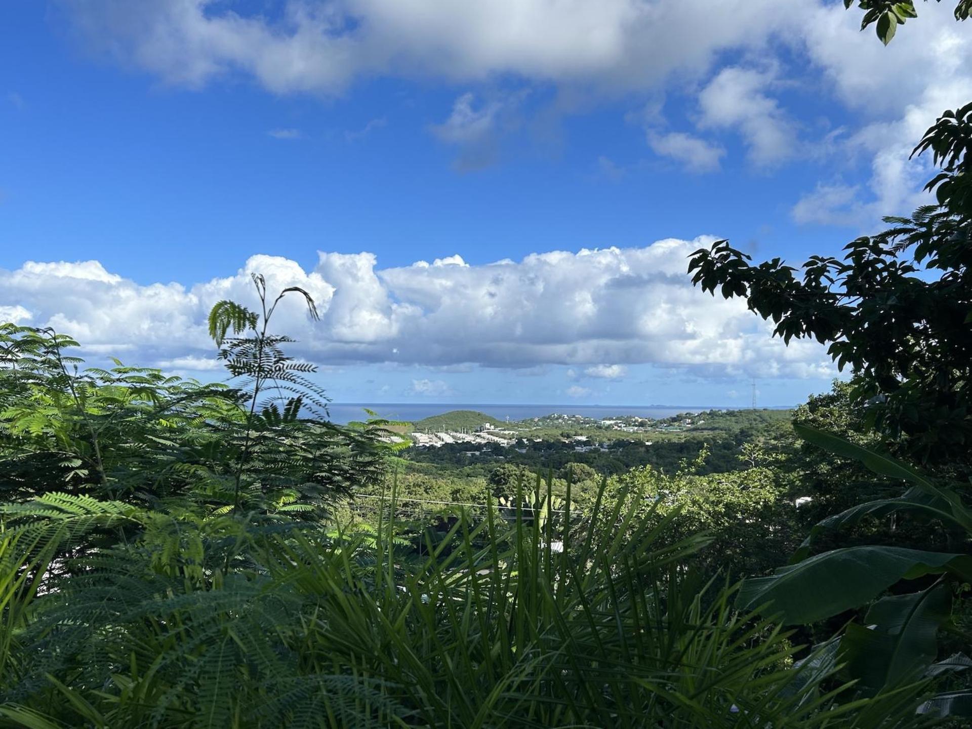 Las Terrazas Los Chivos Vieques Bagian luar foto